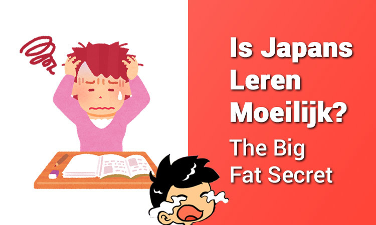 Japans Leren Moeilijk The Big Secret Kotatsu Tv